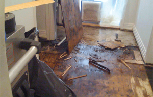 water damage restoration website