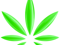 wholesale CBD partner