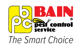 Pest Control Colchester