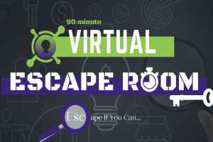 Virtual Escape Games