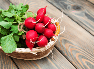 best health source shop