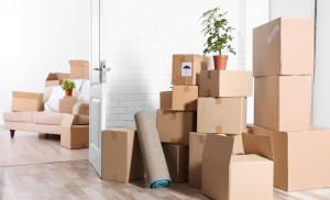 https://www.themovingguys.com.au/