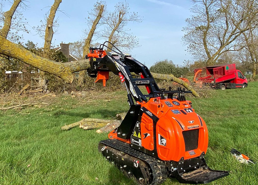 Tree surgeons chelmsford